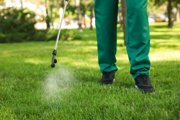 Best Commercial Pest Control Services  in Northport, NY
