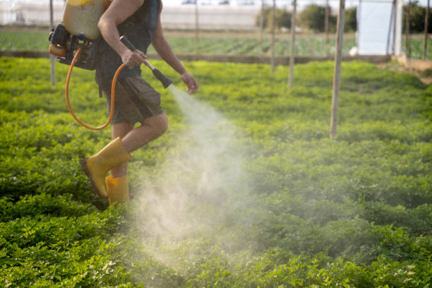 Pest Prevention Services in Northport, NY