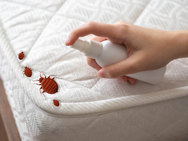 Best Residential Pest Control  in Northport, NY